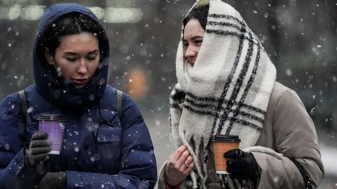 Медиаархив Подмосковья