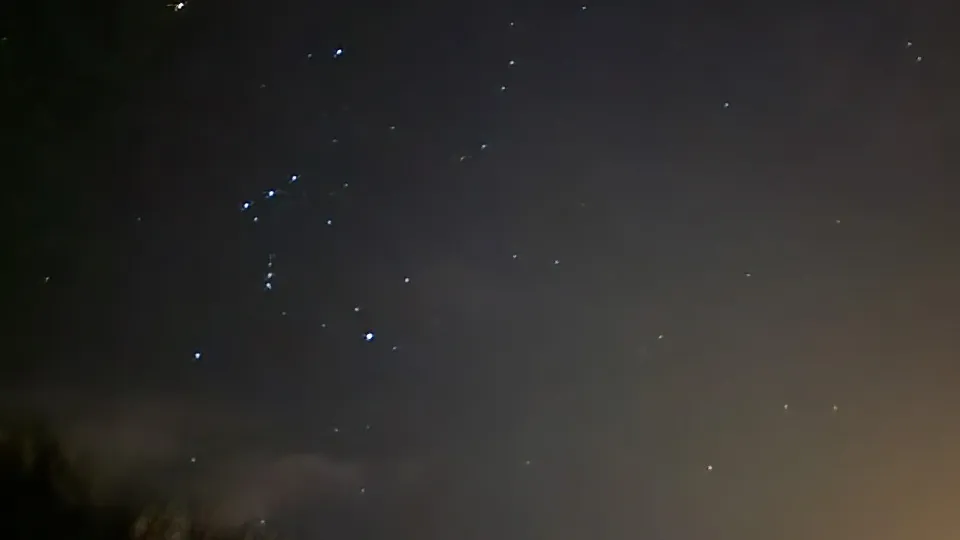 Фото: МедиаБанк Подмосковья/Марина Анисимова