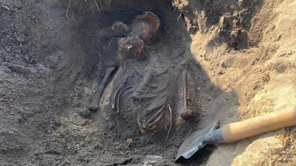 Фото: Лотошинское Отделение «ВООВ Боевое Братство»