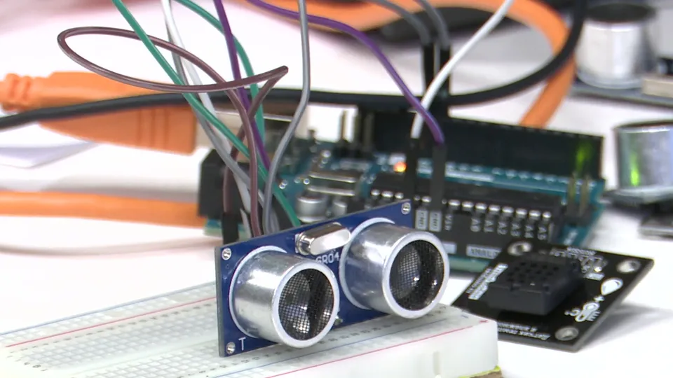 Фото: Ксения Казакова