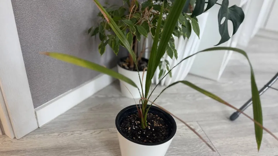 Фото: REGIONS/Евгений Мазепов