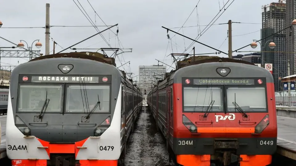 Фото: Медиаархив Подмосковья