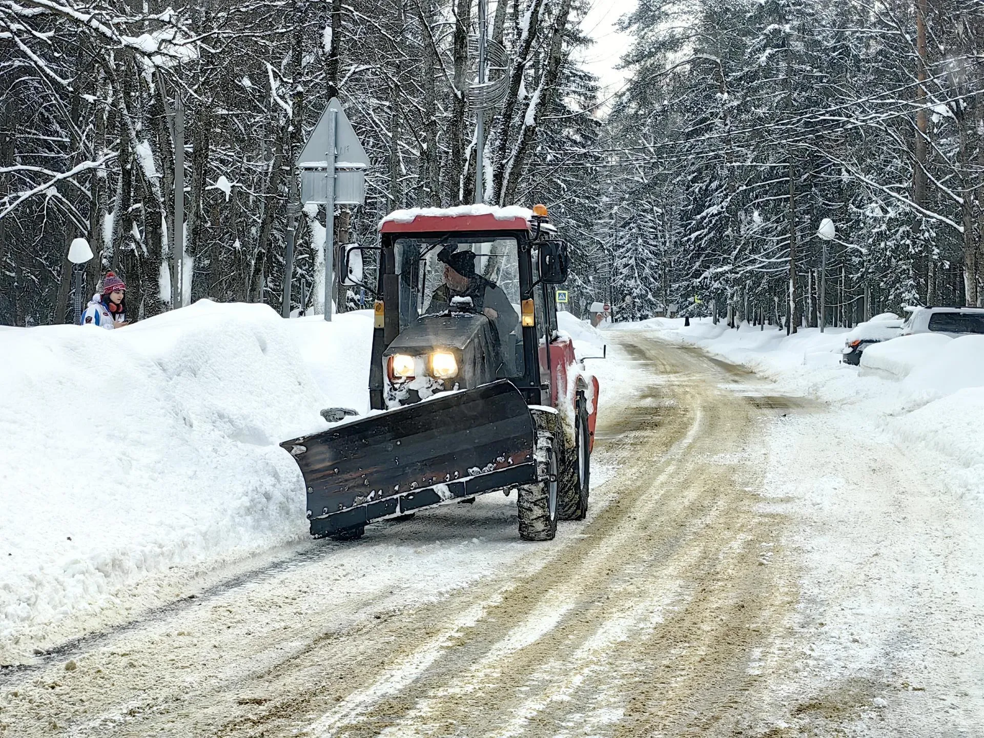 Елена Катасонова