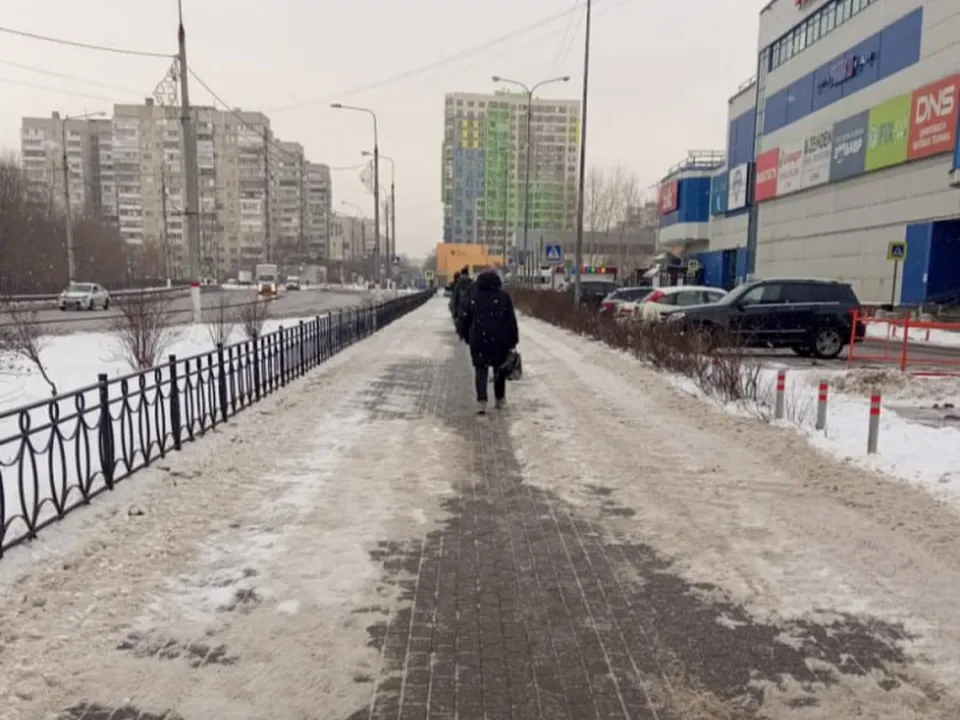 Фото: МЦУР Жуковский