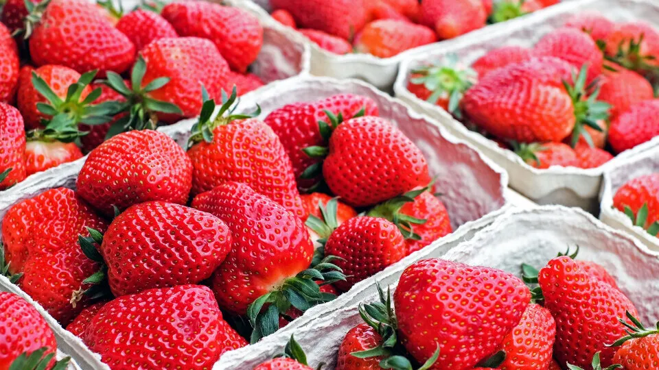 Фото: pxhere.com