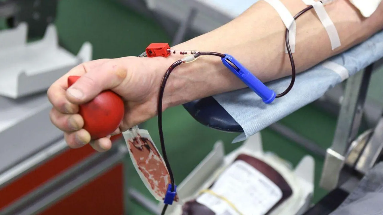 Фото: пресс-служба Волоколамской больницы