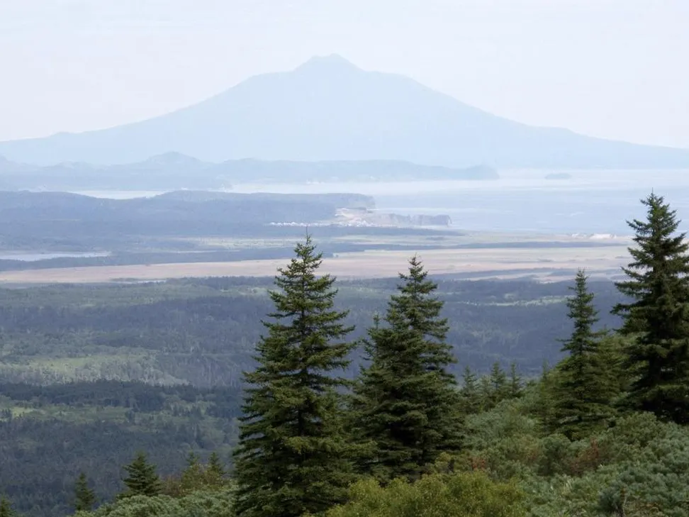 Японский министр признал Курилы российскими — что за этим следует