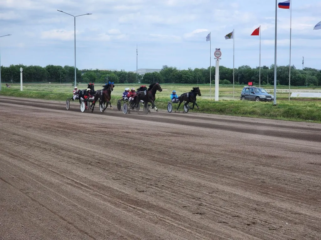 Фото: МедиаБанк Подмосковья/Ирина Моисеева