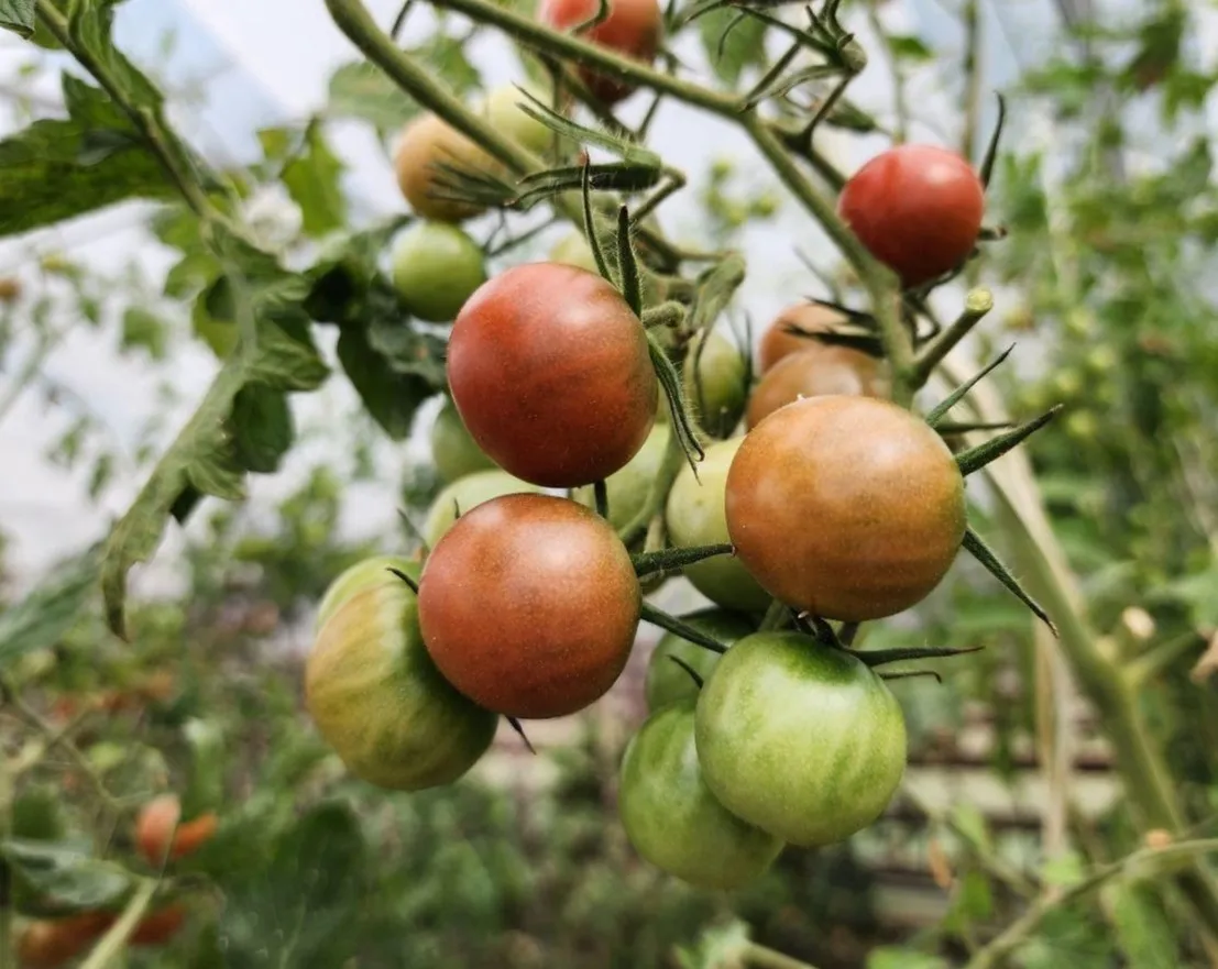 Фото: Яна Шаливская