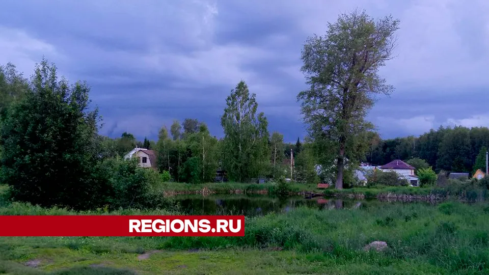 Фото: REGIONS/Василий Тремасов