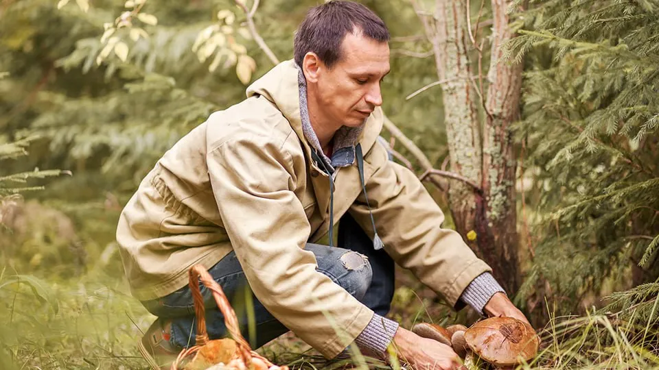 Фото: istockphoto.com/EduardSV