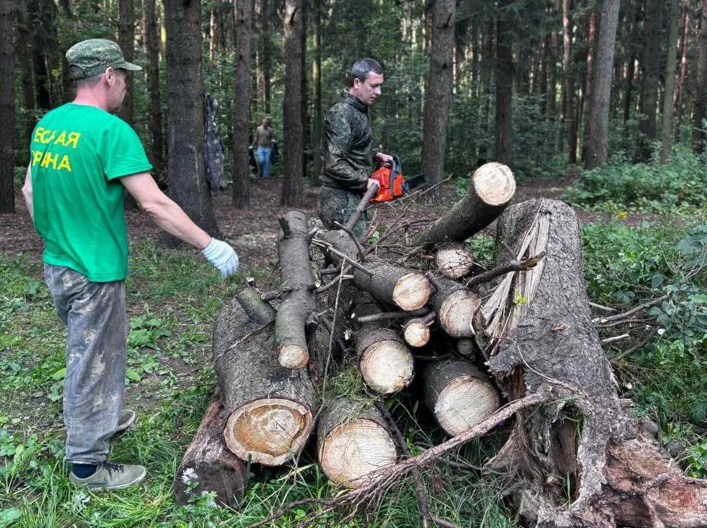 Фото: пресс-служба администрации г. о. Подольск&nbsp;