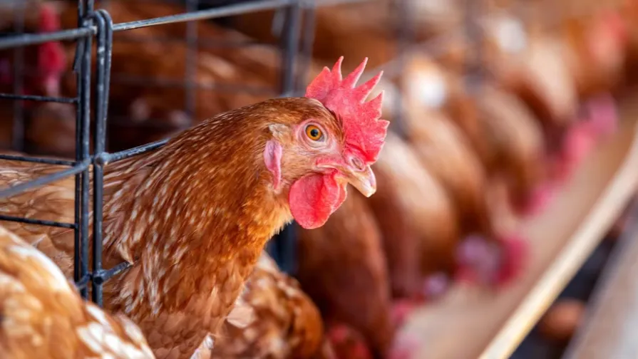 Фото: freepik.com