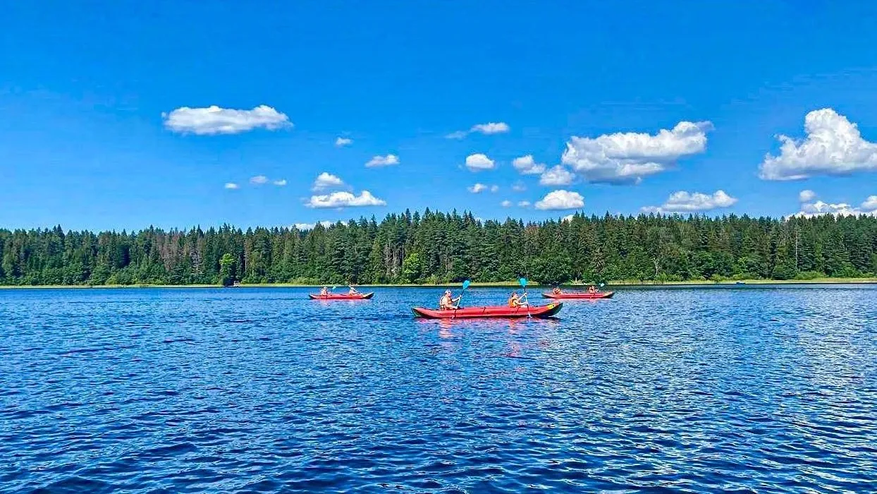 Фото: Пресс-служба городского округа Мытищи