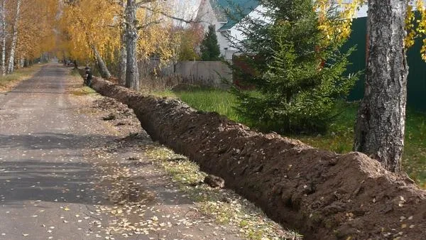 Компания в Солнечногорске заплатила 200 тыс за нелегальные земляные работы