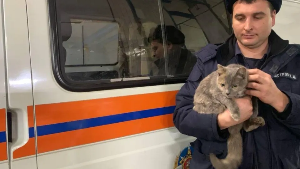 Фото: ГКУ МО «Мособлпожспас»