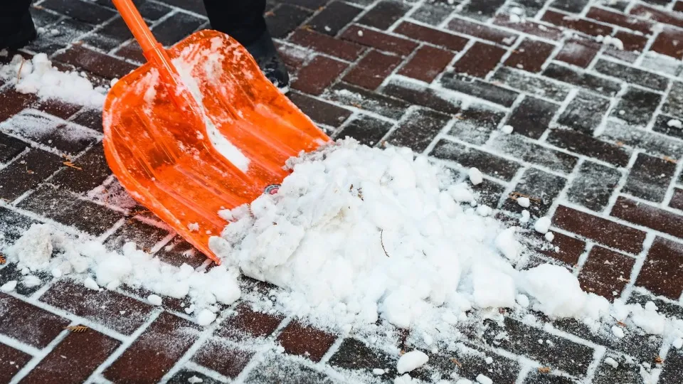 Фото: пресс-служба администрации г.о. Химки