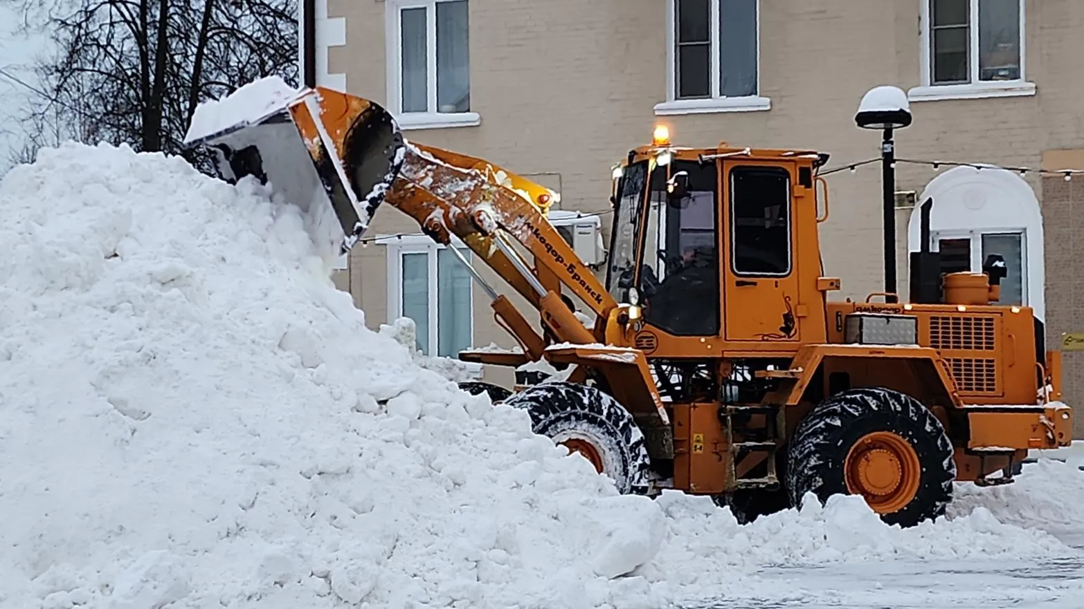 Нина Басистая