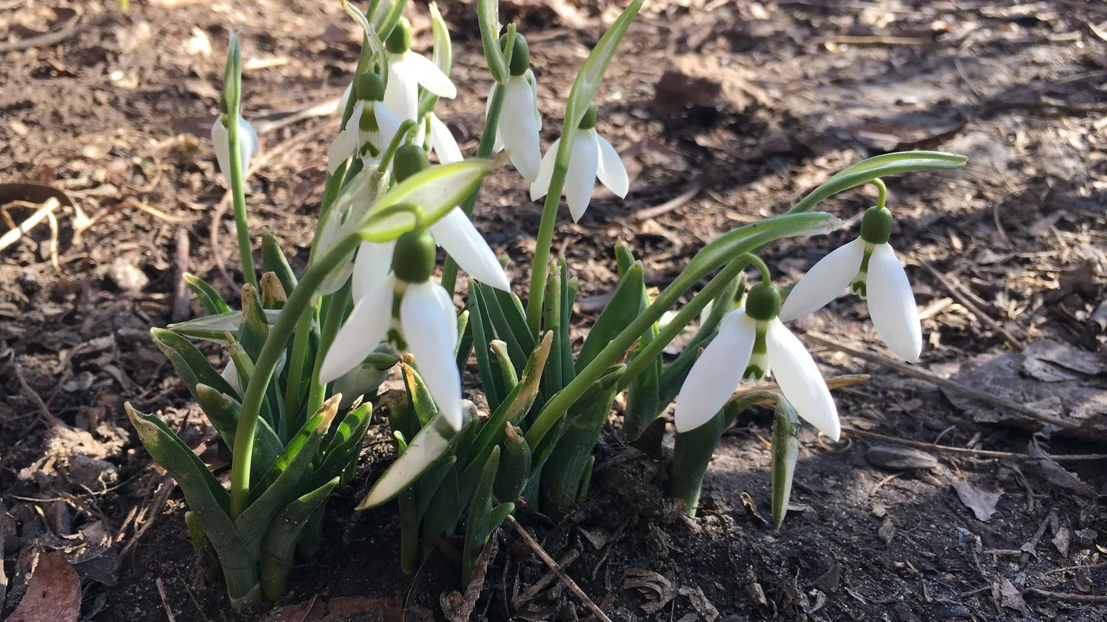 Фото: Андрей Синцов