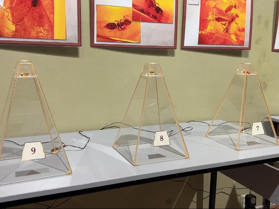 Фото: Виктория Фортуна