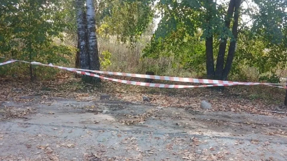 Фото: Администрация городского округа Лотошино