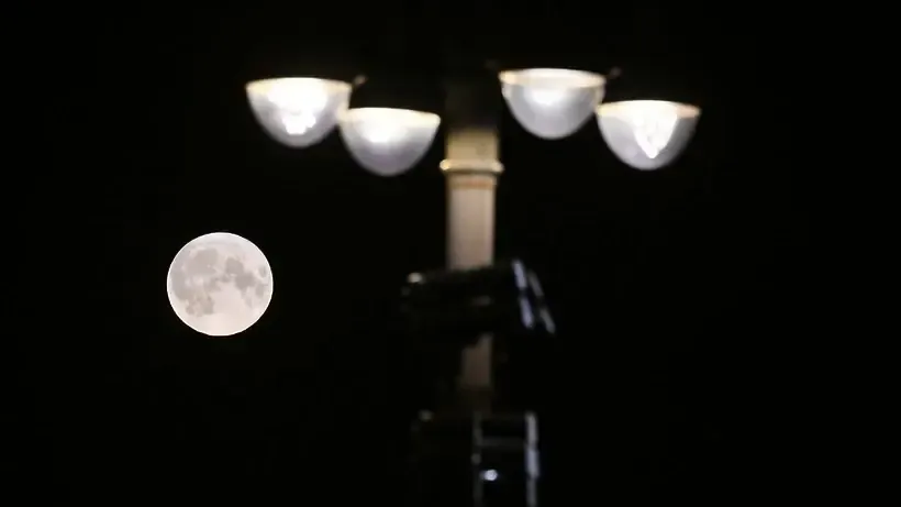 © РИА Новости,   Илья Питалев