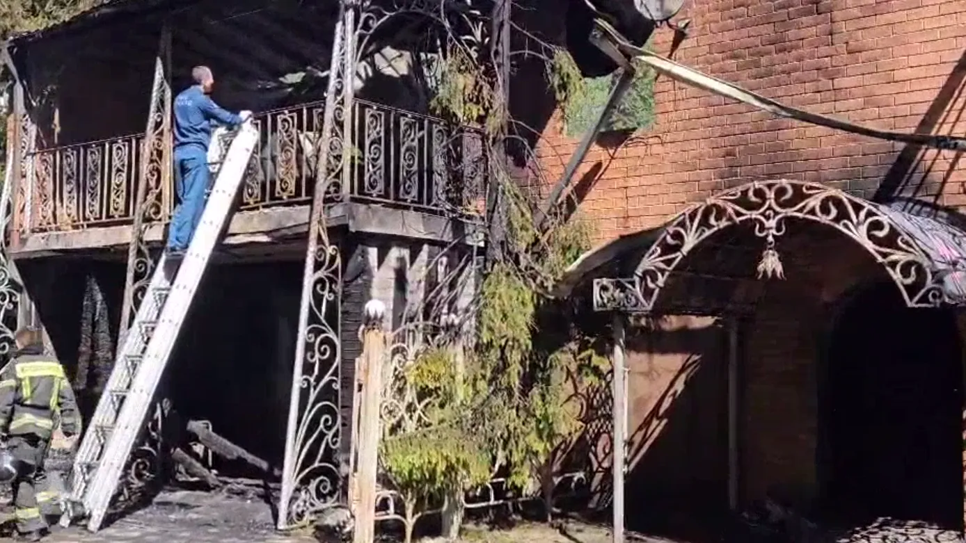 Фото: t.me/Прокуратура Московской области