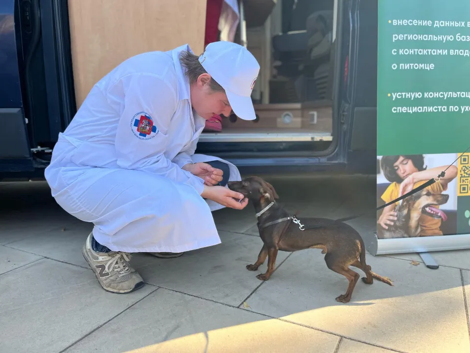 Фото: Минсельхозпрод МО