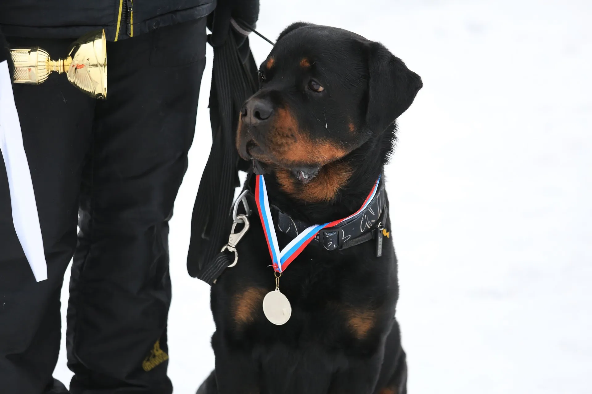 Фото: пресс-служба администрации г.о. Долгопрудный