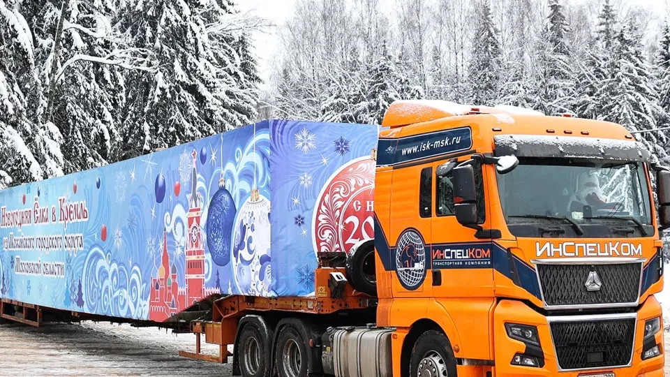 Фото: пресс-служба губернатора и правительства Московской области/Екатерина Агеева