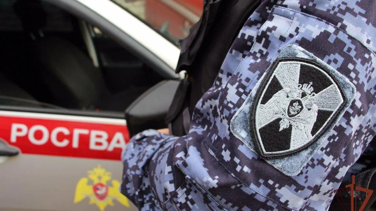Подмосковные росгвардейцы задержали подозреваемых в краже машины у пенсионера