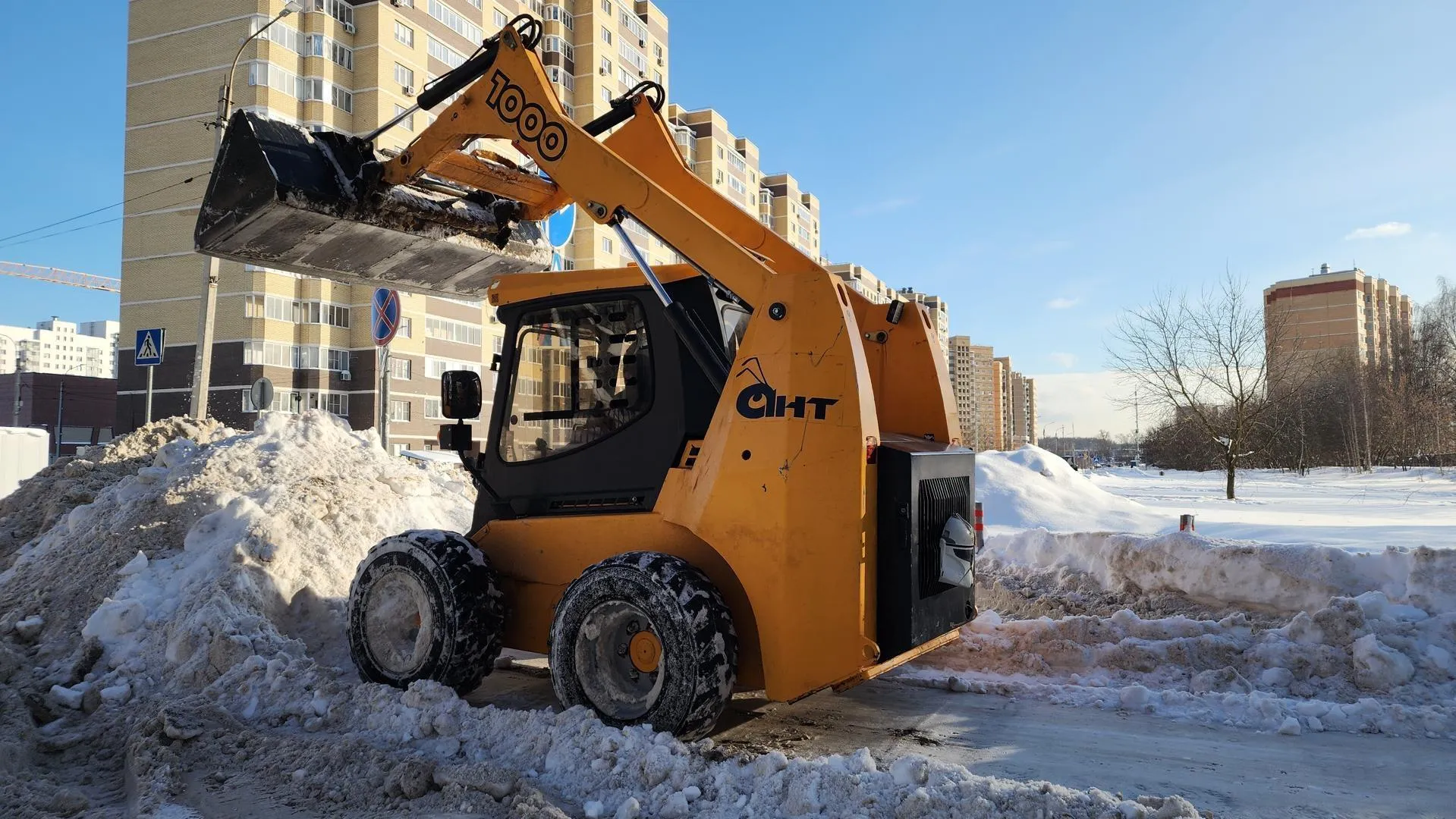 Валерия Тингаева