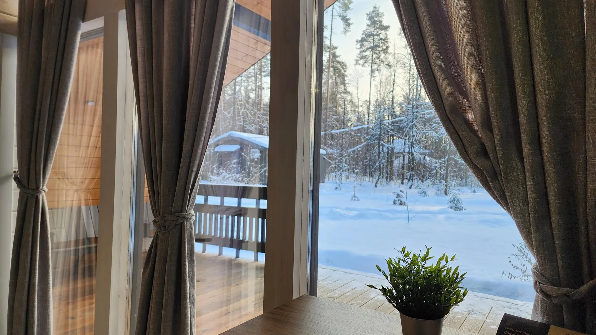 Светлана Плотникова