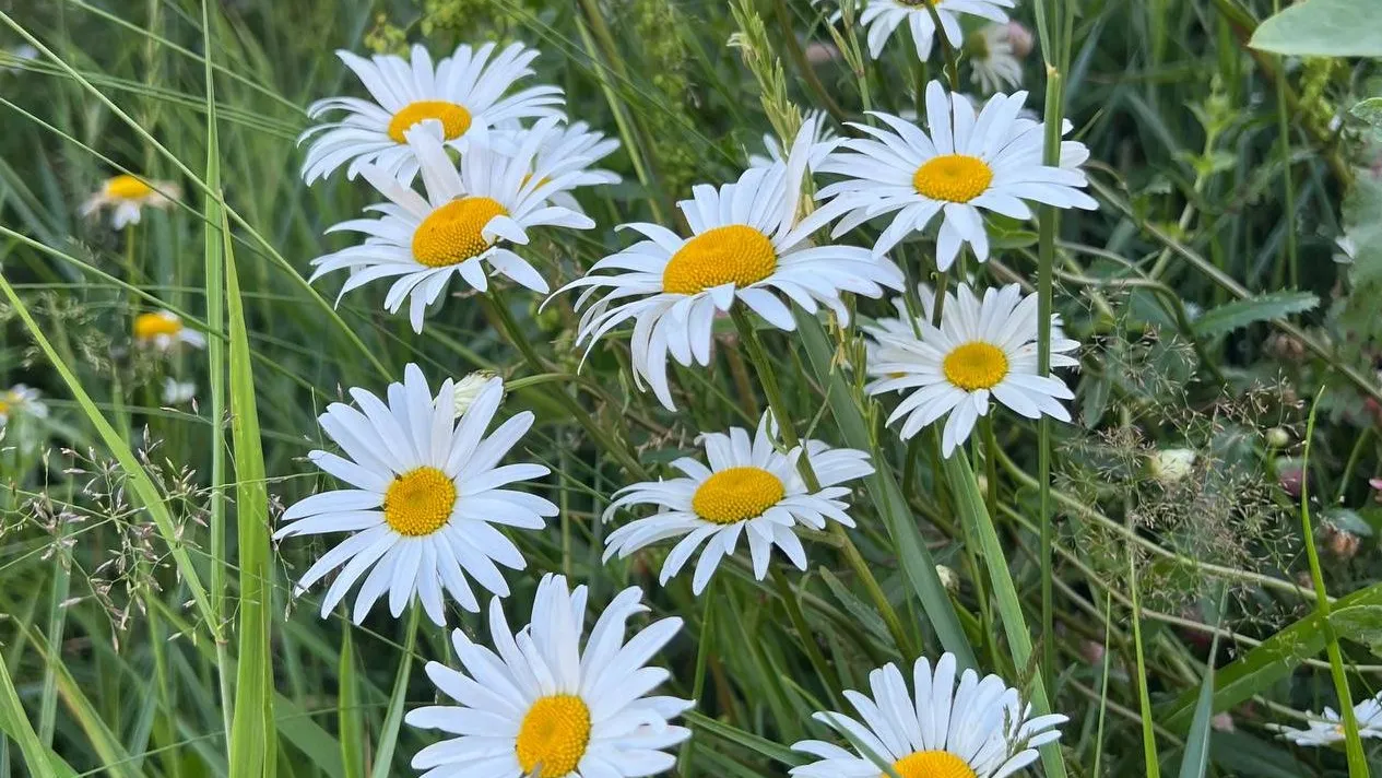 Фото: REGIONS/Татьяна Кордюкова