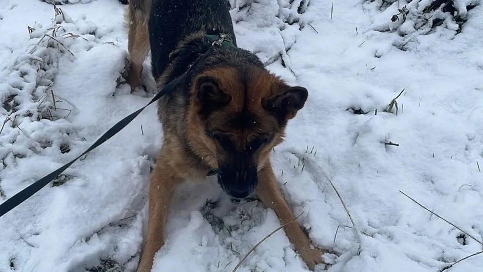 Фото: REGIONS/Юлия Петрова