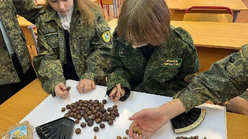Лучшие школьные лесничества 2022 года назвали в Подмосковье