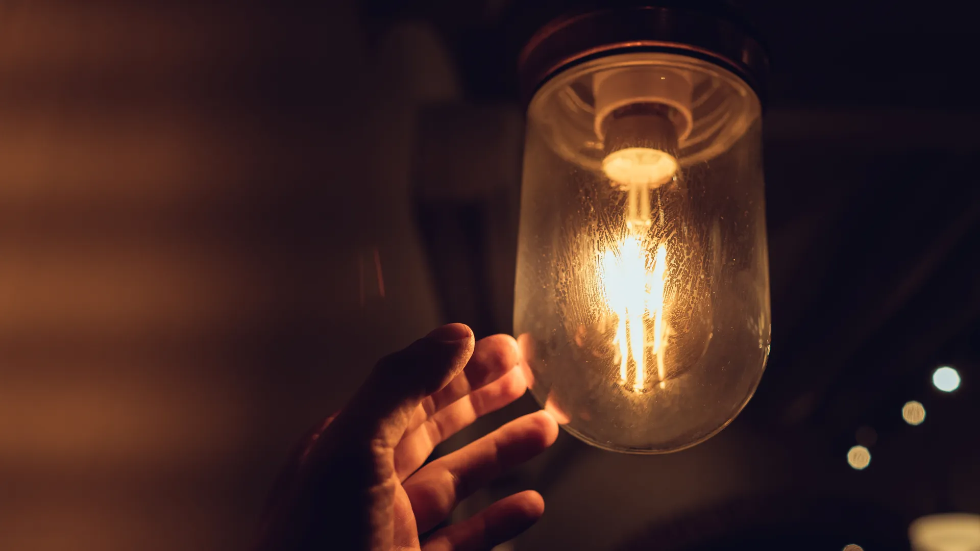 Фото: https://ru.freepik.com