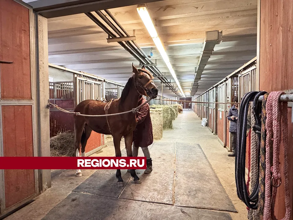 Фото: Мария Шматкова