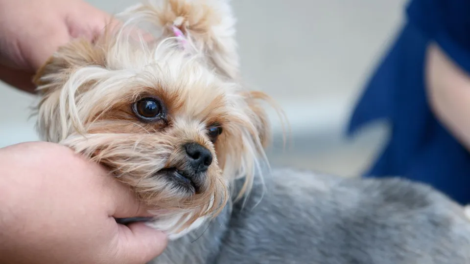 Фото: Дарья Попова