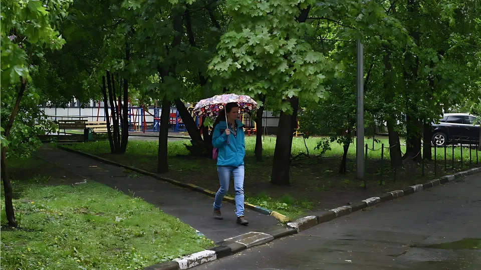 Фото: медиасток.рф