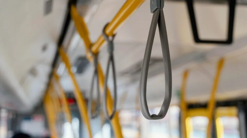 Фото: pxhere.com