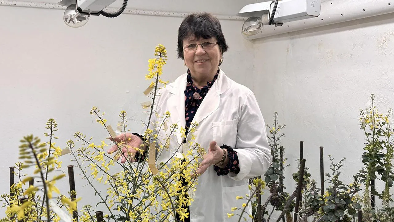 МедиаБанк Подмосковья/Мария Шматкова