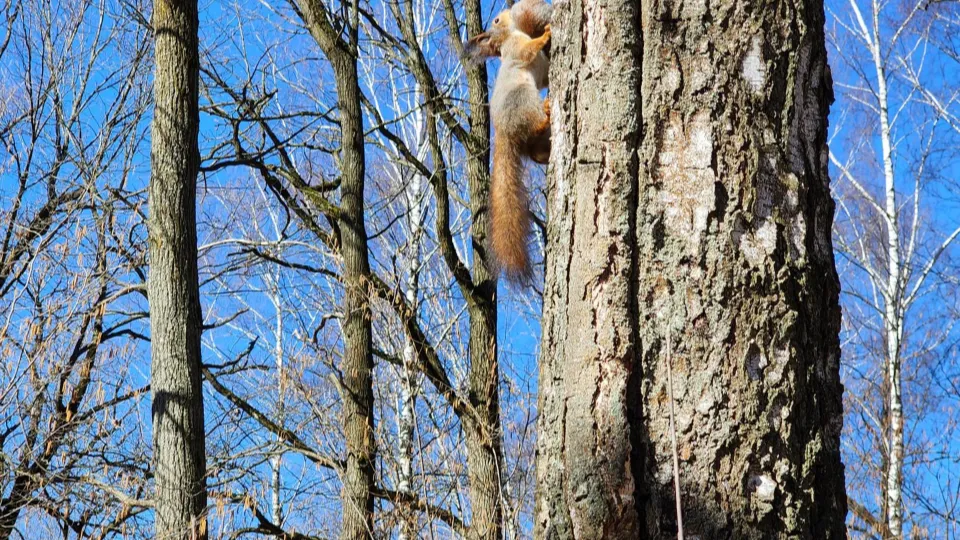 Фото: REGIONS/Наталья Дорошева