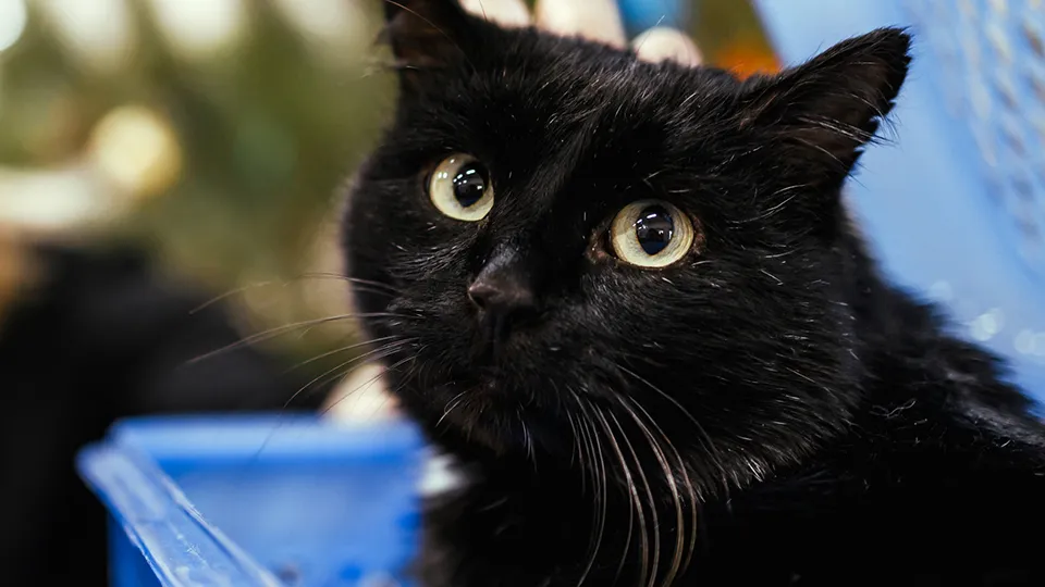 Фото: istockphoto.com