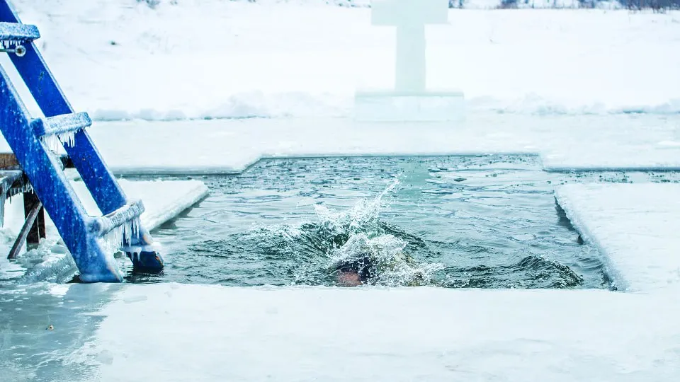 Фото: istockphoto.com/RomanKyryliuk