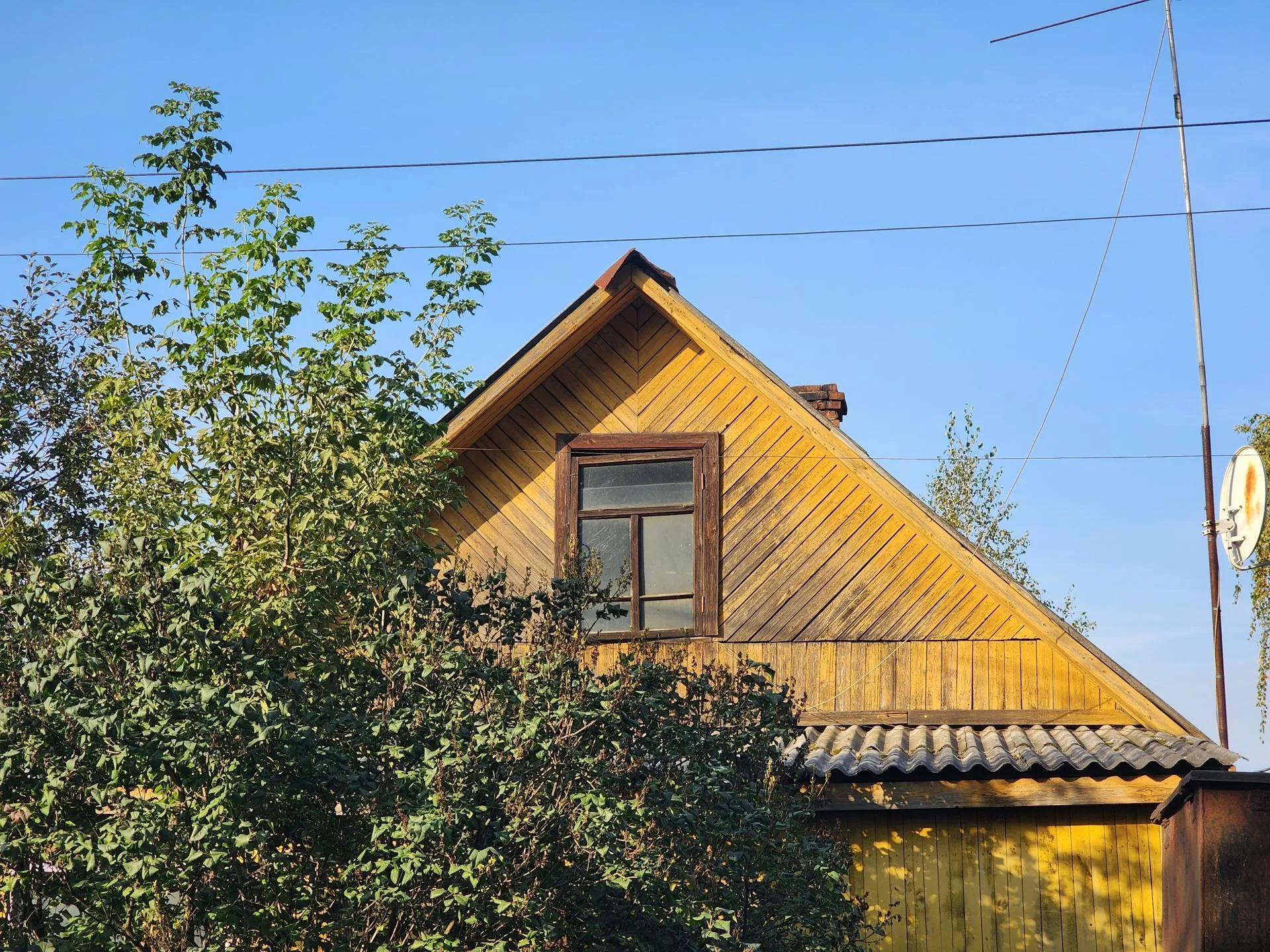 Фото: Роман Савельев