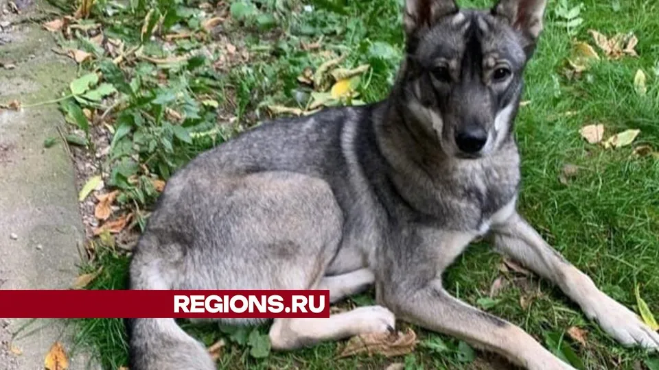 Фото: Наталья Нужных