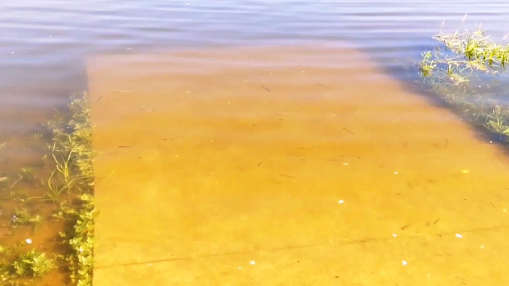 Фото: t.me/dmitrinoskovkartini