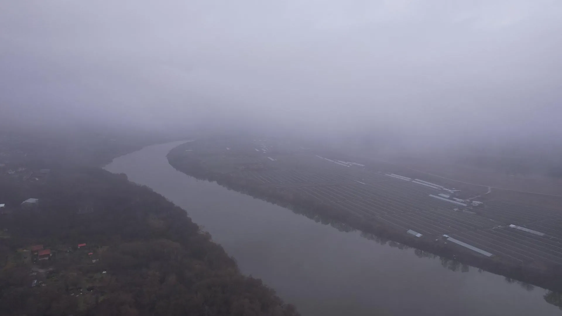 Дарья Московцева