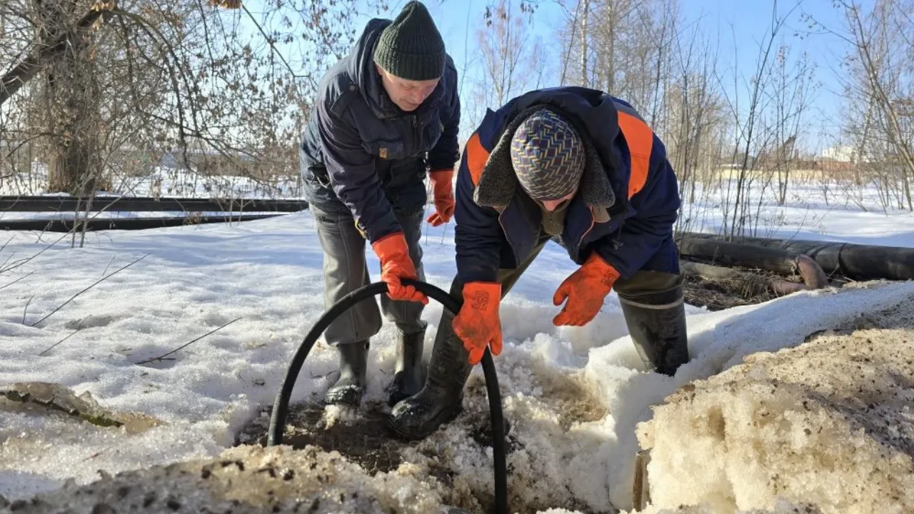 REGIONS/Яна Шаливская